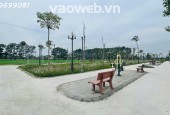 BÁN ĐẤT ĐẤU GIÁ X9 CÁN KHÊ, NGUYÊN KHÊ,ĐÔNG ANH 116,13M2