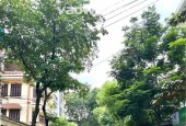 Siêu hiếm KĐT Định Công Trần Nguyên Đán 79m2, ở vip, kd văn phòng, 25.5 tỷ.
