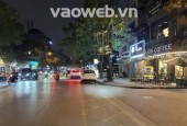 Bán lô đất kinh doanh vip KĐT Đại Kim – ô tô tránh, xây 7 tầng thang máy, 55m2 - 19 tỷ