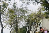 Bán nhà Võng Thị Trích Sài - view hồ - 6 tầng TM - ô tô đỗ cửa - 64m chỉ 19 tỷ