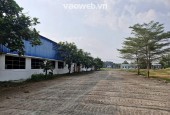 Cho thuê nhà xưởng 10.500m² tại Phú An Bến Cát Bình Dương – Xưởng mới, PCCC tự động, trạm điện 2000KVA