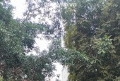đường lụa , hà đông, otto vào nhà, sổ đỏ sang tên luôn.