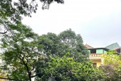 Mặt phố Trần Đăng Ninh Cầu Giấy - vị trí đẹp nhất - KD đỉnh - vỉa hè - chỉ nhỉnh 22 tỷ