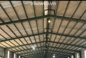 Cho Thuê Nhà Xưởng 4.900m² Tại Thuận An Bình Dương  Giá 320 Triệu/Tháng  Có Dock Container – PCCC Đầy Đủ