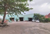 Cho Thuê Xưởng Bắc Tân Uyên, Bình Dương – Diện Tích 8.000m², Giá 450 Triệu/Tháng