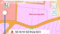 Bán 1000 m²  xã Bình Minh gần ngay QL1A đường nhựa lớn dân cư đông đúc giá chỉ  hơn 2 tỷ