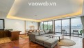 Building căn hộ dịch vụ 200m²  x 7 tầng + tum, 36 phòng tại Quan Hoa, Cầu Giấy, tiền về như lá mít