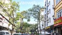 Bán Nhà Nghĩa Tân, Cầu Giấy, Kinh Doanh Oto Tránh, vỉa hè, 56m, 4T, 18 tỷ 9.