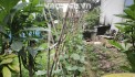 Đất đẹp Nhật Chiêu Tây Hồ - 130m MT5.5m vuông đẹp, chỉ 20 tỷ