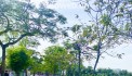 Đất đẹp Nhật Chiêu Tây Hồ - 130m MT5.5m vuông đẹp, chỉ 20 tỷ