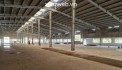 Cho thuê nhà xưởng 10.500m² tại Phú An Bến Cát Bình Dương – Xưởng mới, PCCC tự động, trạm điện 2000KVA