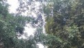đường lụa , hà đông, otto vào nhà, sổ đỏ sang tên luôn.