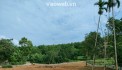 Mảnh đất Yên Bài, Ba Vì làm nhà vườn nghỉ dưỡng, DT 1500m2 thoáng 4 mặt, 2 mặt đường, mặt tiền gần 30m, có thể chia làm 2 căn