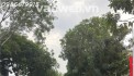 Bán nhà Q7 khu Kiều Đàm - xe hơi ngủ nhà - DT 90m2 - khu hiếm nhà bán - nhỉnh 11 tỷ