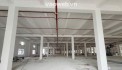 Cho Thuê Nhà Xưởng KCN Nam Tân Uyên Bình Dương  Diện Tích 59.500m²  PCCC Tự Động  Giá 3,8 USD/m²