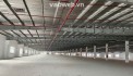 Cho Thuê Nhà Xưởng KCN Nam Tân Uyên Bình Dương  Diện Tích 59.500m²  PCCC Tự Động  Giá 3,8 USD/m²