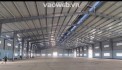 Cho Thuê Xưởng 4.500m² Bình Dương – Đường Container, Giá Thỏa Thuận. Liên hệ: Chothuexuongmiennam.com - 0366632092