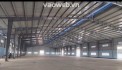 Cho Thuê Xưởng 4.500m² Bình Dương – Đường Container, Giá Thỏa Thuận. Liên hệ: Chothuexuongmiennam.com - 0366632092