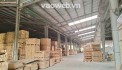 Cho Thuê Xưởng Bắc Tân Uyên, Bình Dương – Diện Tích 8.000m², Giá 450 Triệu/Tháng