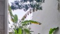 CHÍNH CHỦ BÁN ĐẤT TÂN TRẠI, PHÚ CƯỜNG, SÓC SƠN, HÀ NỘI