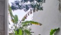 CHÍNH CHỦ BÁN ĐẤT TÂN TRẠI, PHÚ CƯỜNG, SÓC SƠN, HÀ NỘI