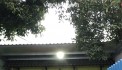 Siêu Hót - Chính chủ e muốn bán căn nhà cấp 4 phường Tân Hiệp- Thành Phố Biên Hòa -Đồng Nai