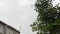 e có hai lô đất cần bán nhanh ạ 
 nhỉnh tỷ 

65m và 54m xã đông phương yên , Chương mỹ 
liên hệ e : 0967594106 - 0987282011