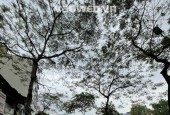 Mặt phố Nguyễn Khang, tòa nhà 7 tầng TM, 2 mặt phố ô tô, 72/82m MT5m, giá chào 47.5 tỷ