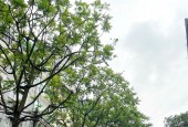 Bán nhà mặt phố Hoàng Hoa Thám, 125m MT siêu đẹp, giá chỉ 44 tỷ