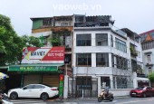Bán nhà Linh Lang Phan Kế Bính, vị trí đắc địa, 140m, MT16m, chỉ 48 tỷ