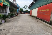 Chính chủ gửi bán 100m2 đấu giá X4 Hà Phong, Liên Hà, Đông Anh, gần 2 đại dự án lớn của Vin