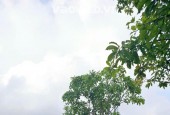 CHỈ HƠN 3 TỶ – SỞ HỮU NGAY LÔ ĐẤT GIANG BIÊN – Ô TÔ VÀO TẬN CỬA