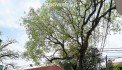 CƠ HỘI VÀNG ĐẦU TƯ - ĐẤT ĐẸP ĐỨC THƯỢNG 50M2 - Ô TÔ VÒNG QUANH - NGÕ THÔNG TỨ PHÍA - CHỈ 4,3TỶ