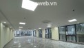 Bán Tòa BUILDING-Lô Góc Mặt Phố Khu Thái Hà (Trung Liệt) 267m/8Tầng/MT 8m 145 Tỷ