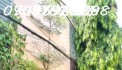 Nhà 2 tầng đẹp – 3PN – Có phòng trệt – Tây Thạnh – 5.9 TỶ