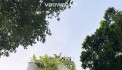 Bán nhà gần Mặt phố Liễu Giai - Đào Tấn - Linh Lang 136m² - Giá 48 tỷ