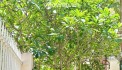 Chính chủ Bán biệt thự vườn mát mẻ thích hợp nghỉ dưỡng- Thủ Dầu Một, Bình Dương