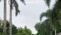 ban dat duong Giang Văn Minh, phường An Phú, Quận 2
- Diện tích: 13 x 20m, cn 260m2
-