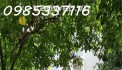 bán nhà MT  đường số 9, An Phú Vista
- Diện tích: 175,5m2
- Kết cấu: C4
- Hướng: tây bắc
- Giá bán: 32 tỷ