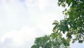 CHỈ HƠN 3 TỶ – SỞ HỮU NGAY LÔ ĐẤT GIANG BIÊN – Ô TÔ VÀO TẬN CỬA