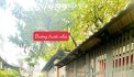 BÁN NHÀ 4 TẦNG HẺM XE HƠI - ĐƯỜNG QUANG TRUNG - P.11 - Gò Vấp - 90M2 - GIÁ NHỈNH 7 TỶ